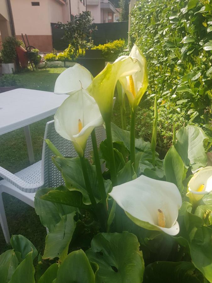 B&B La Damigiana Fioi Piano di Follo Eksteriør bilde