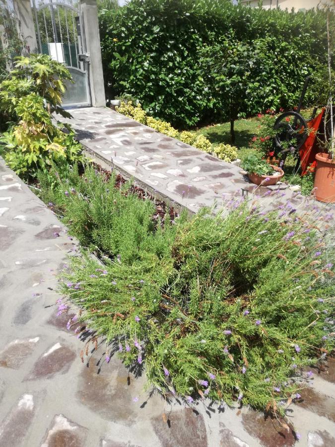 B&B La Damigiana Fioi Piano di Follo Eksteriør bilde