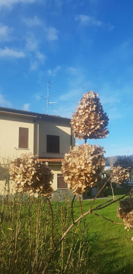 B&B La Damigiana Fioi Piano di Follo Eksteriør bilde