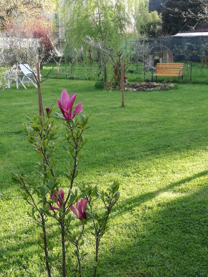 B&B La Damigiana Fioi Piano di Follo Eksteriør bilde