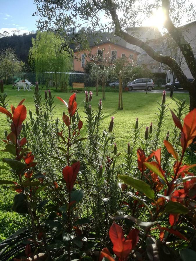 B&B La Damigiana Fioi Piano di Follo Eksteriør bilde