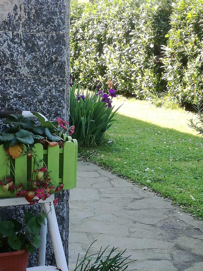 B&B La Damigiana Fioi Piano di Follo Eksteriør bilde