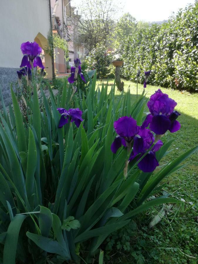 B&B La Damigiana Fioi Piano di Follo Eksteriør bilde