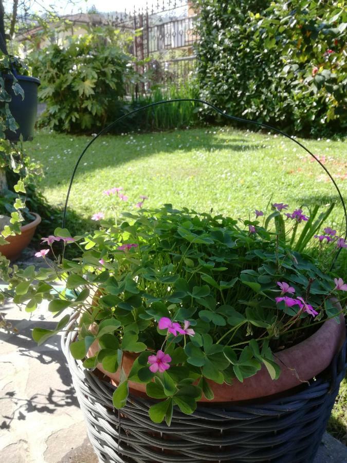 B&B La Damigiana Fioi Piano di Follo Eksteriør bilde