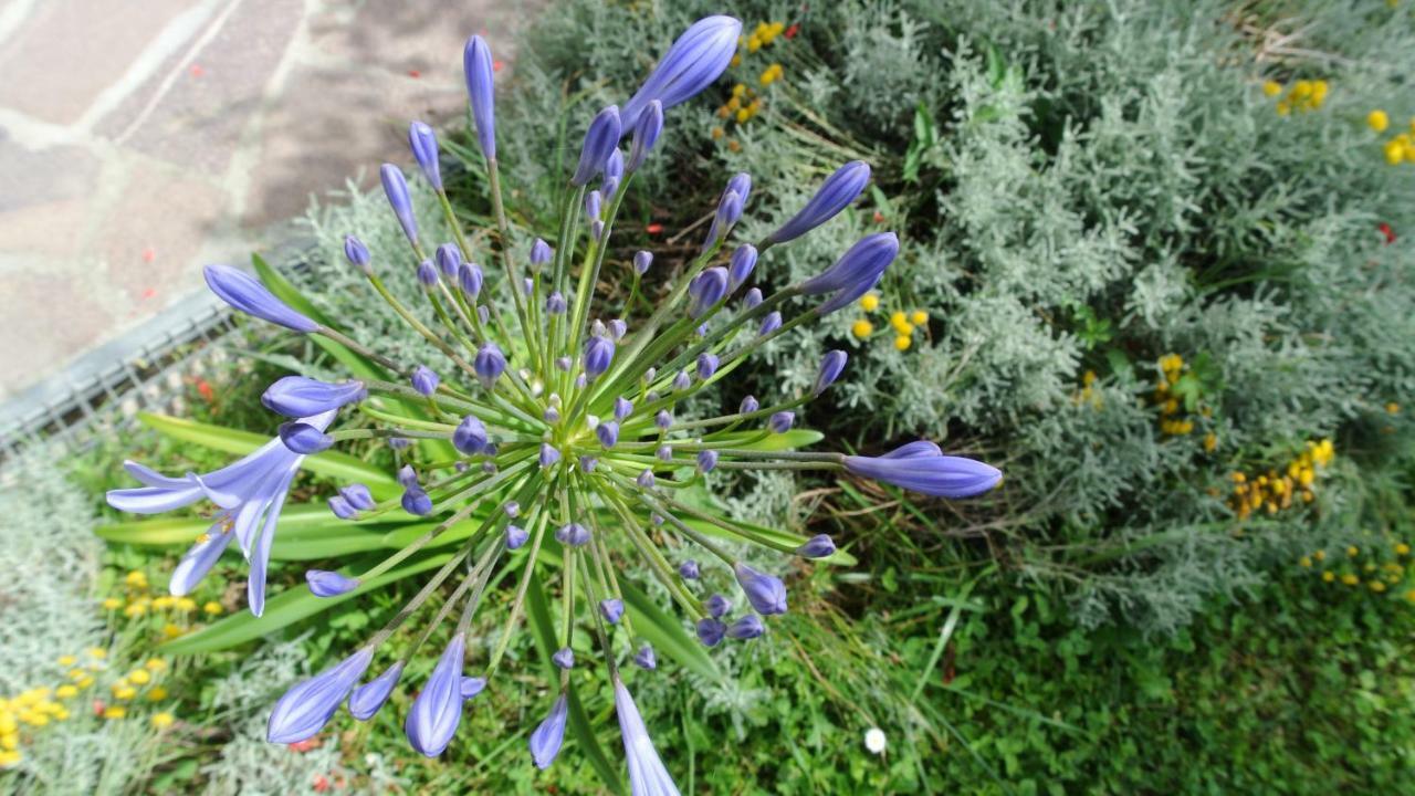 B&B La Damigiana Fioi Piano di Follo Eksteriør bilde